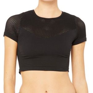 Alo Yoga Black Mesh Seamless Crop